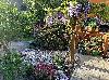 Bunter Garten