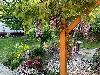 An der Terrasse