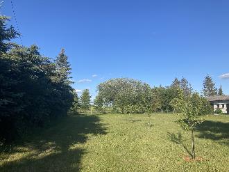 Pferdebesitzer ? Hier kann Ihr Pferd zum Frühstück durch das Fenster schauen - großes Grundstück mit angrenzender Wiese 