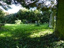 Baumbestand