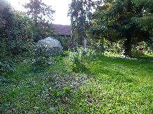 Blick vom Garten zur Rückseite Scheune