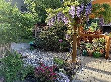 Bunter Garten
