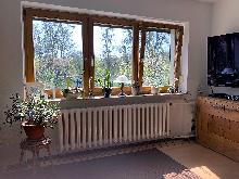 Viel Tageslicht im Wohnzimmer